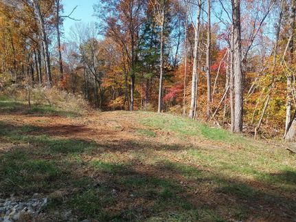Hunting Land for sale in Grayson County, Kentucky