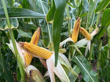 Farm Property for sale in Prowers County, Colorado