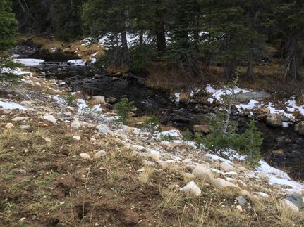 Property for sale in Carbon County, Wyoming