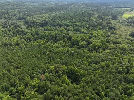 Property in Oktibbeha County, Mississippi