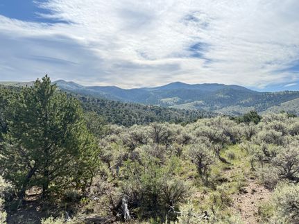 Hunting Land for sale in Costilla County, Colorado