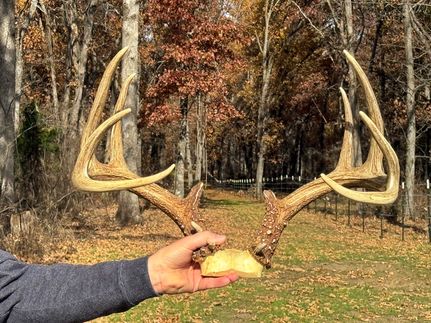 Property for sale in Cedar County, Missouri