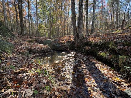 Ranch Property for sale in Abbeville County, South Carolina