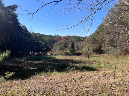 Timberland Property for sale in Rutherford County, North Carolina