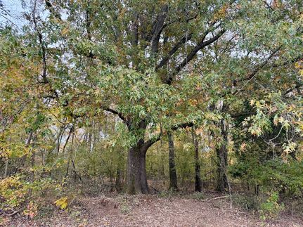 Ranch Property for sale in Lauderdale County, Tennessee