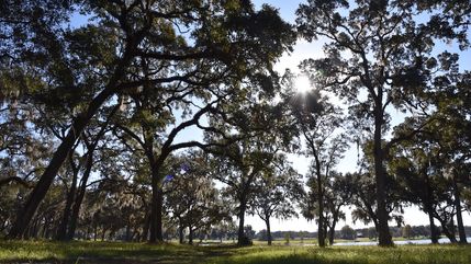 Property for sale in Marion County, Florida