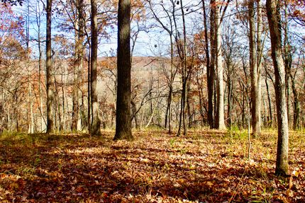 Hunting Land for sale in Madison County, Arkansas