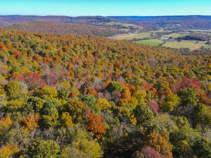 Hunting Land for sale in Carroll County, Arkansas