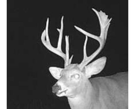 Property for sale in Miami County, Kansas