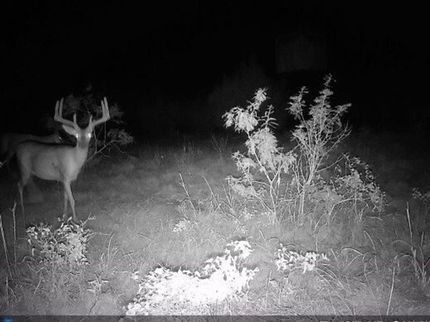 Property for sale in Comanche County, Texas