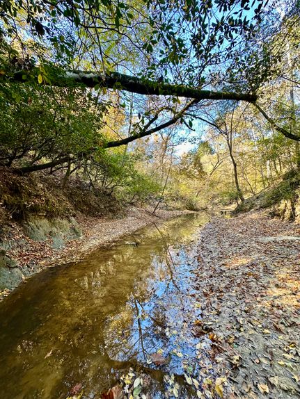 Hunting Land for sale in Barbour County, Alabama