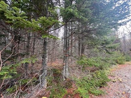 Undeveloped Land for sale in Washington County, Maine