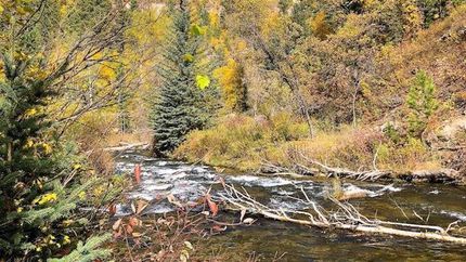 Waterfront Property for sale in Pennington County, South Dakota