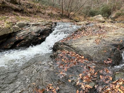 Property for sale in Wilkes County, North Carolina