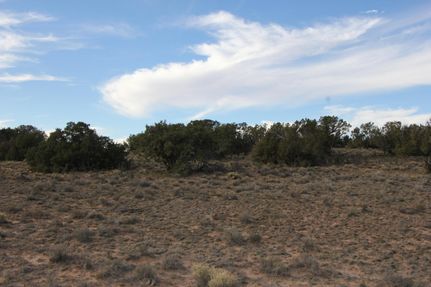 Property for sale in Apache County, Arizona
