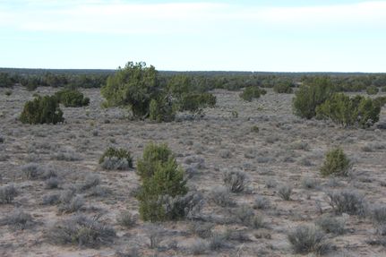 Property for sale in Apache County, Arizona