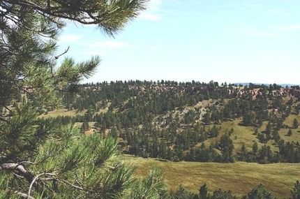 Property for sale in Custer County, South Dakota