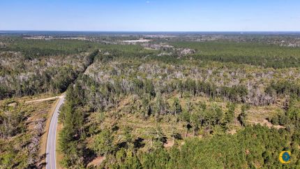 Property for sale in Bacon County, Georgia