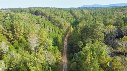Undeveloped Land for sale in Gordon County, Georgia