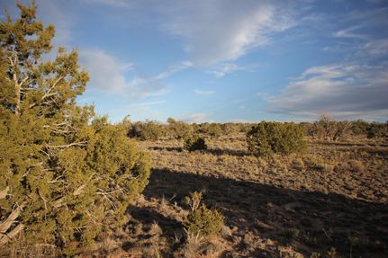 Property for sale in Apache County, Arizona