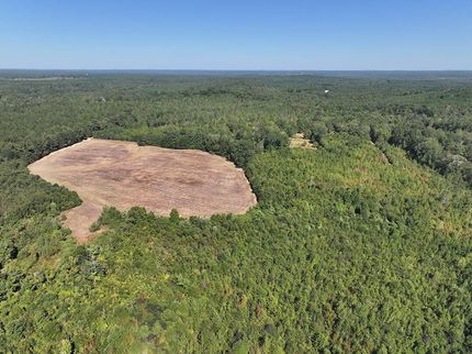 Farm Property for sale in Lamar County, Alabama