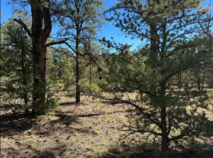 Property in Cibola County, New Mexico