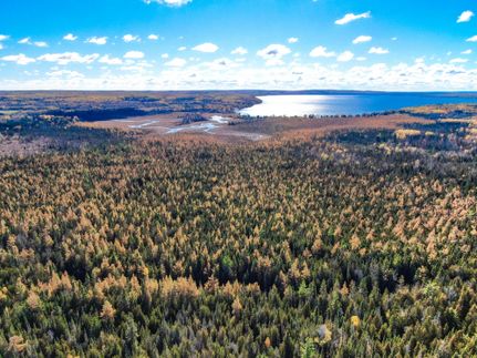 Property for sale in Alcona County, Michigan