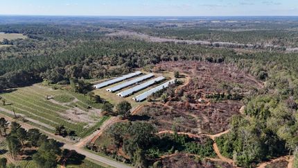 Property for sale in Barbour County, Alabama