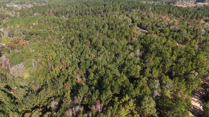 Undeveloped Land for sale in Covington County, Alabama