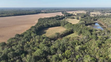 Farm Property for sale in Oktibbeha County, Mississippi