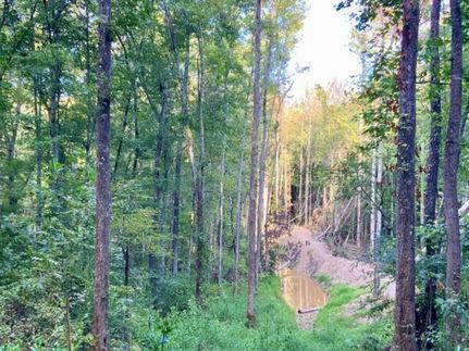 Undeveloped Land for sale in Henry County, Tennessee