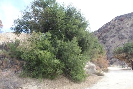 Property for sale in Los Angeles County, California