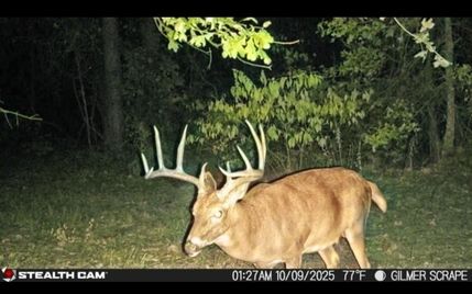 Property for sale in Upshur County, Texas