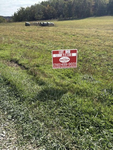 Property for sale in Lewis County, Kentucky