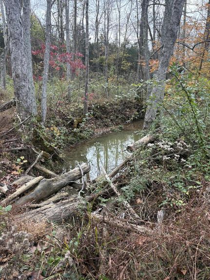 Property for sale in Lewis County, Kentucky