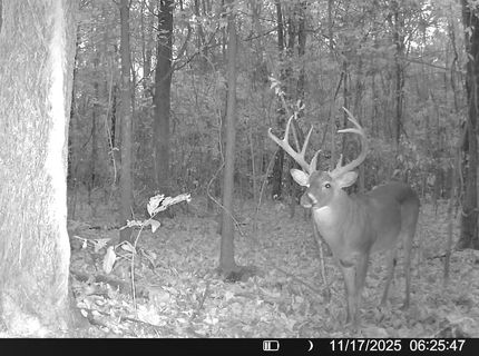 Hunting Land for sale in Phillips County, Arkansas