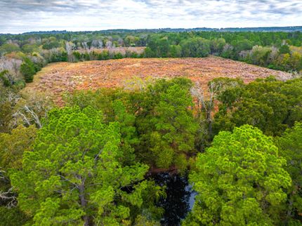 Hunting Land for sale in Anderson County, Texas