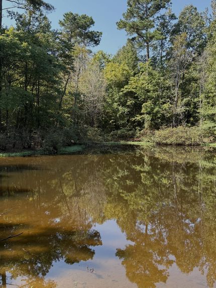 Property in Choctaw County, Mississippi