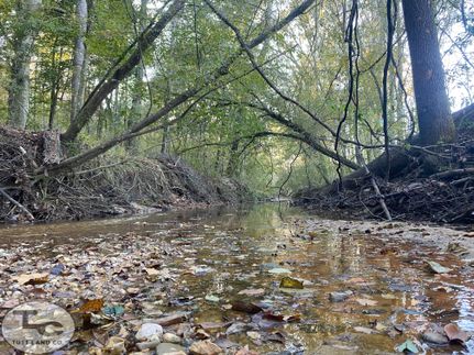 Property for sale in Copiah County, Mississippi