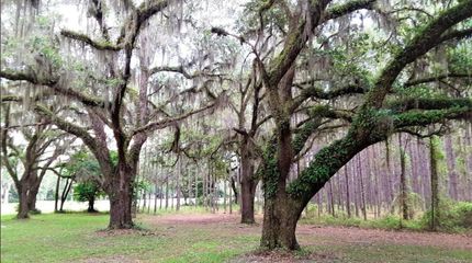 Property for sale in Taylor County, Florida