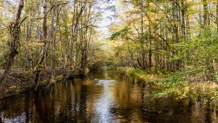 Property for sale in Clarendon County, South Carolina