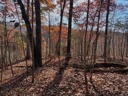 Timberland Property for sale in Lawrence County, Kentucky