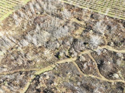 Property for sale in Van Buren County, Michigan