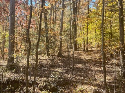 Timberland Property for sale in Elbert County, Georgia