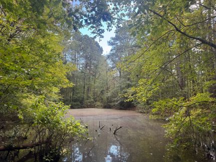 Property for sale in Hot Spring County, Arkansas