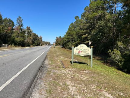 Property for sale in Camden County, Georgia