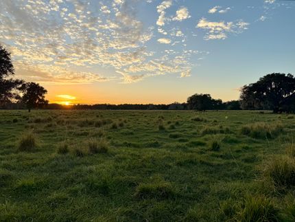 Undeveloped Land for sale in Polk County, Florida