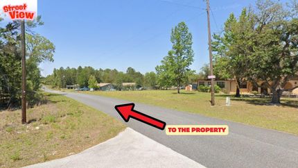 Undeveloped Land for sale in Levy County, Florida