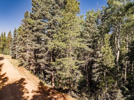 Property for sale in Costilla County, Colorado