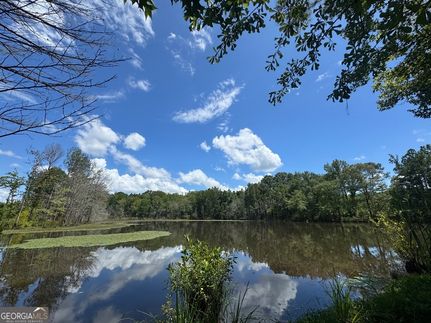 Undeveloped Land for sale in Meriwether County, Georgia